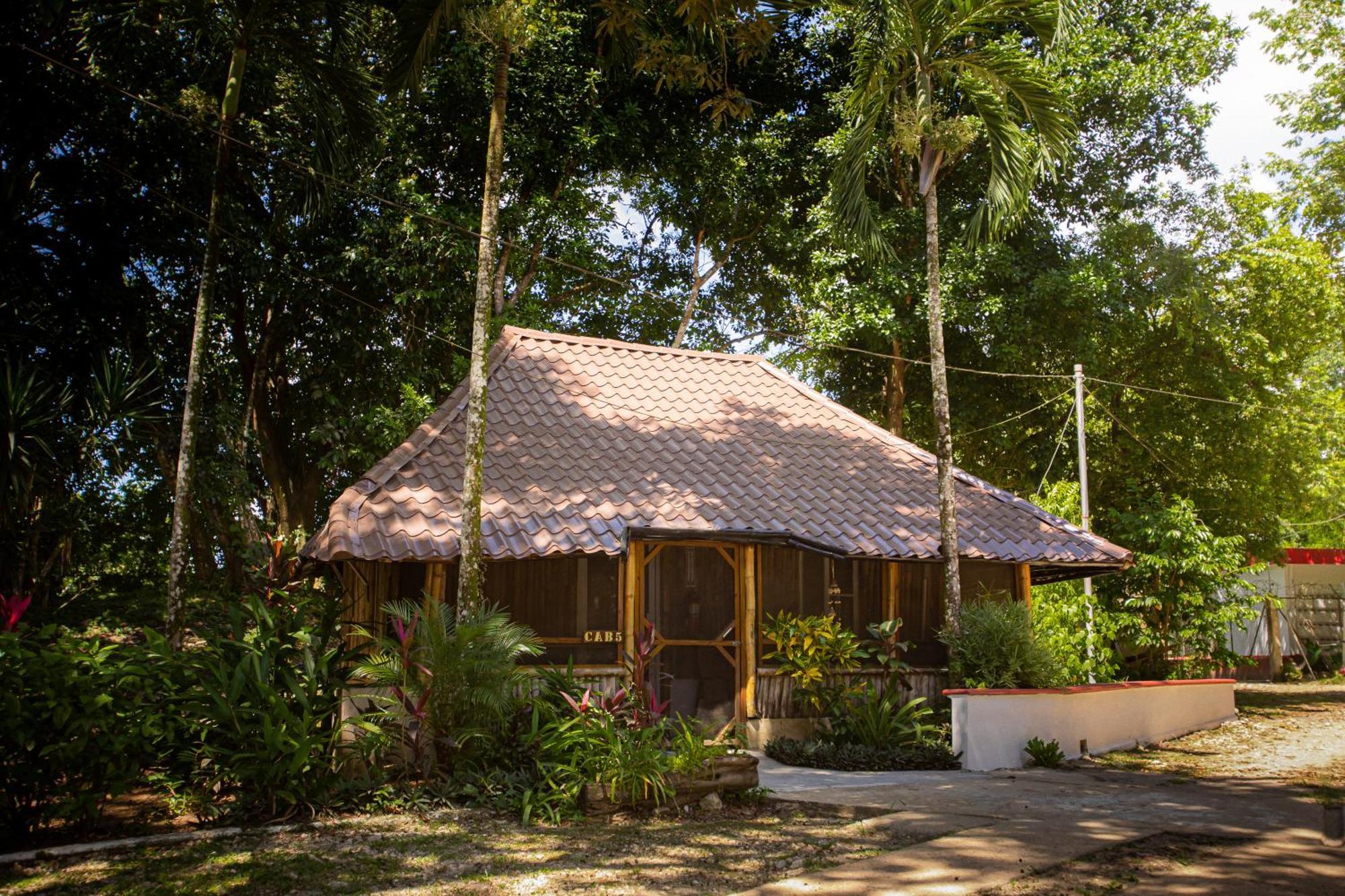 Falling Leaves Lodge Сан-Игнасио Экстерьер фото
